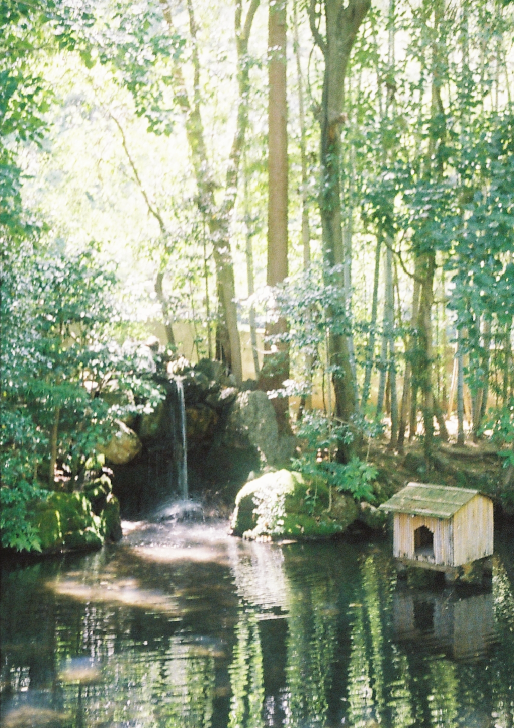 Botanical & Natural World