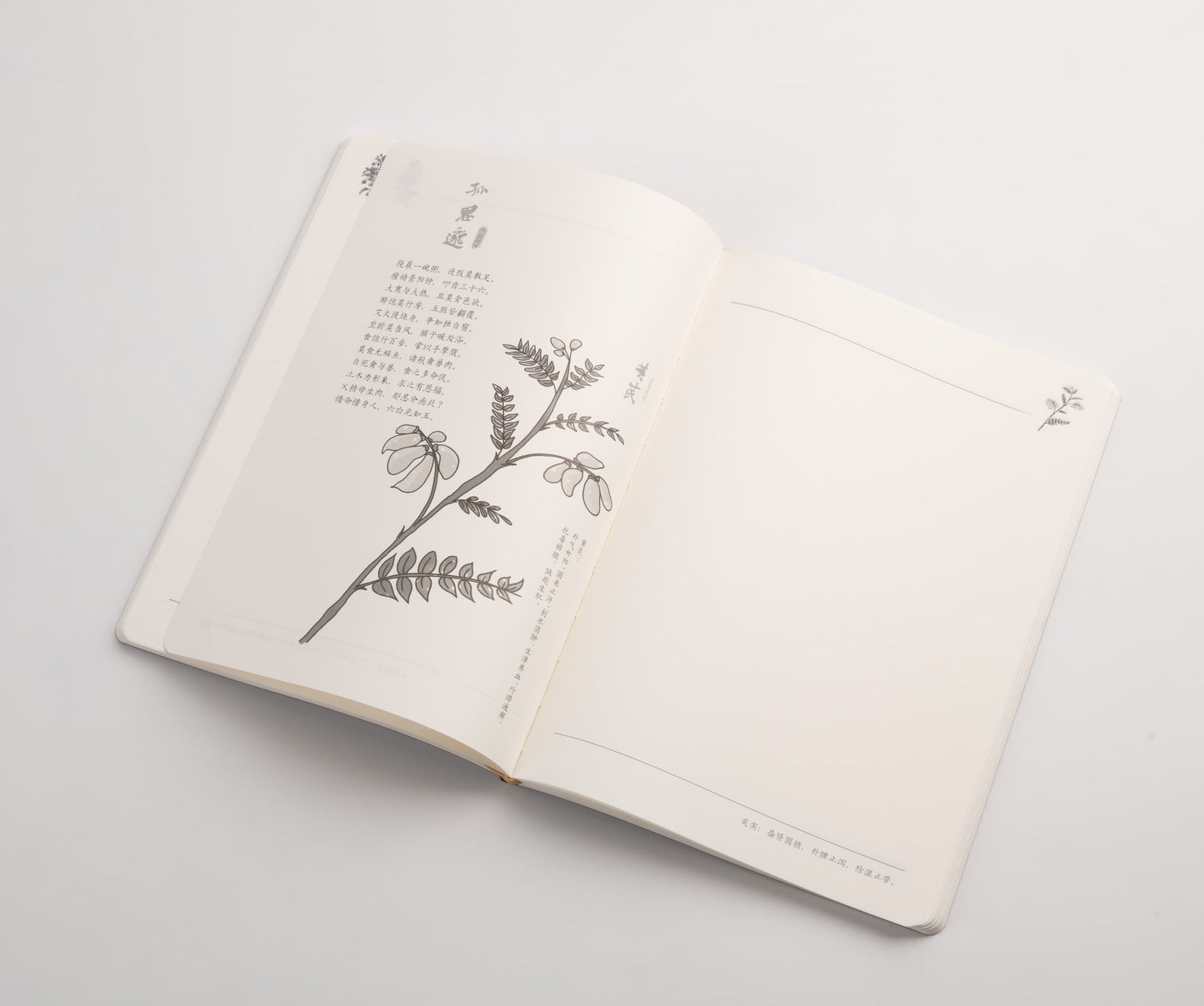 Herbal Codex – Traditional Chinese Medicine Leather Journal