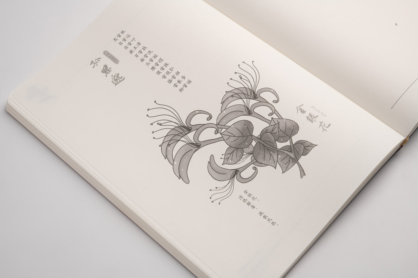 Herbal Codex – Traditional Chinese Medicine Leather Journal