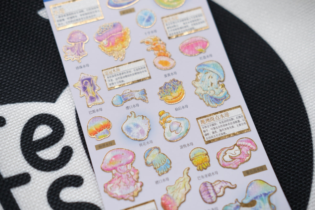 Beneath Australian Waters: Drifting Jewels – Jellyfish Sticker Sheet