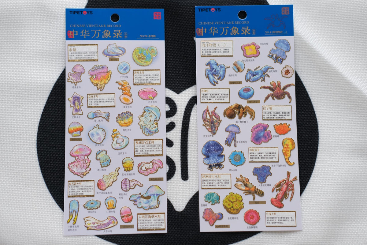 Beneath Australian Waters – Marine Life Sticker Set