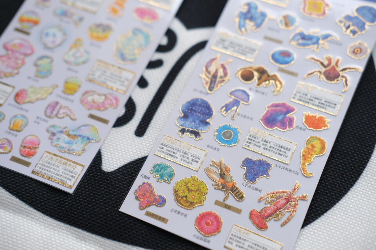 Beneath Australian Waters – Marine Life Sticker Set