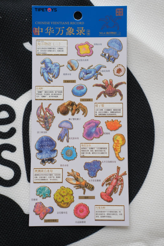 Beneath Australian Waters: Tidal Oddities – Marine Life Sticker Sheet