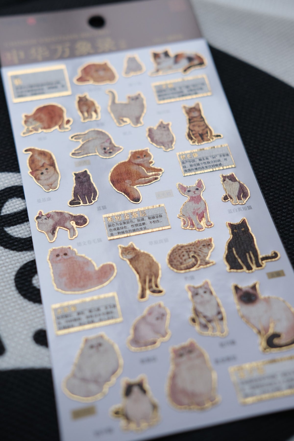 The Very Important Cat Encyclopaedia – Sticker Sheet