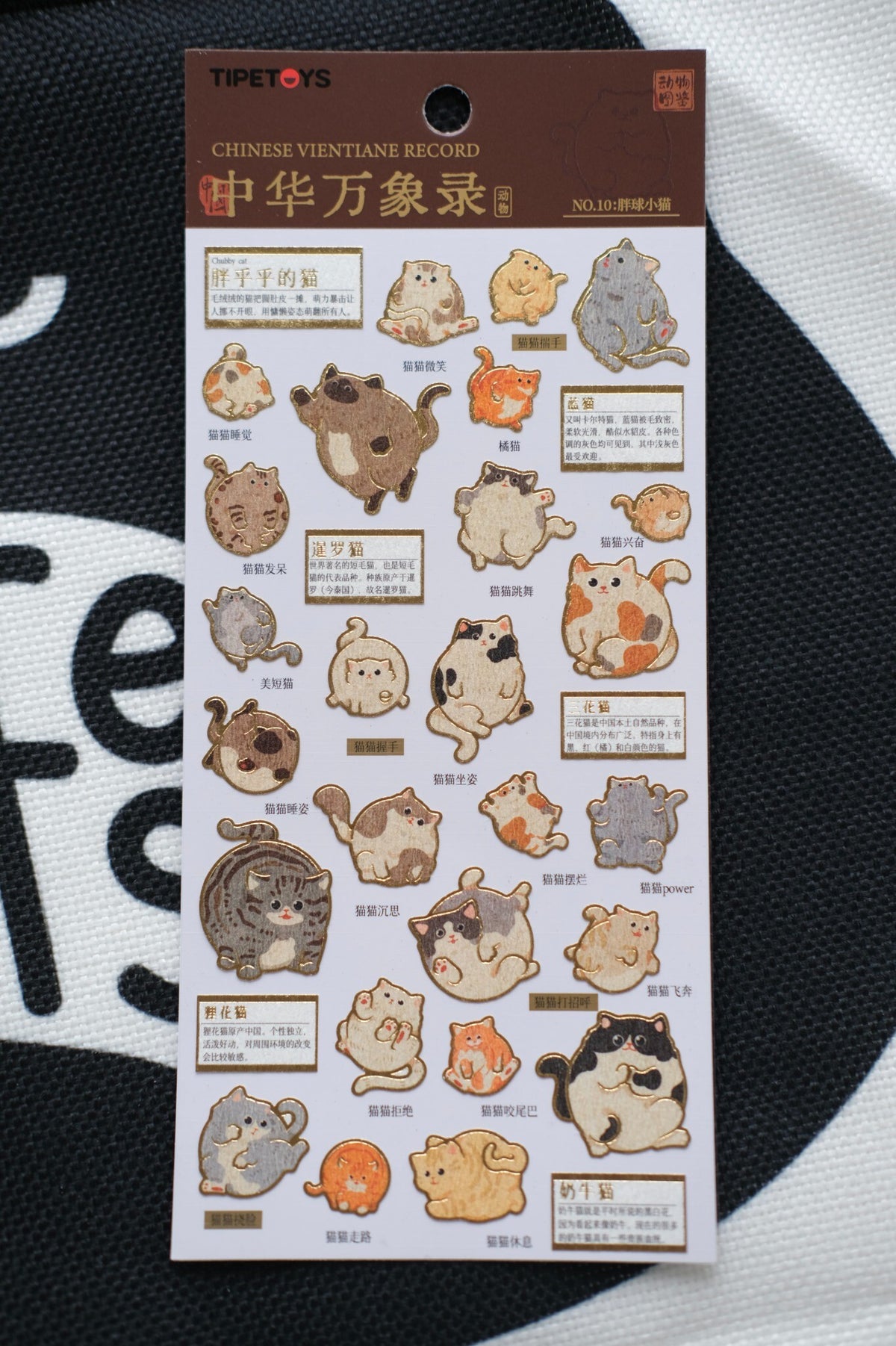 The Roundest Residents – Chubby Animals Sticker Set